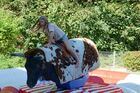 JAT_Frderverein Bullriding